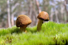 世界帆板公开赛技术革新显著，帆板锦标赛